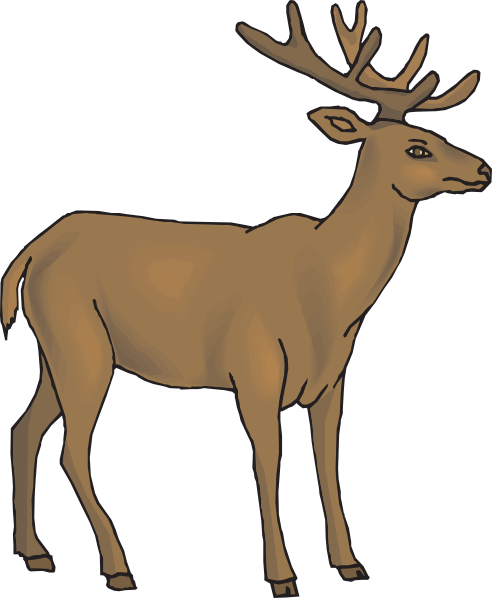 Brown Deer Clip Art At Clker Com   Vector Clip Art Online Royalty    