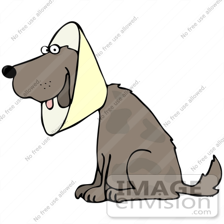 Clip Art Graphic Of A Recovering Dog Wearing A Collar Cone    42342 By