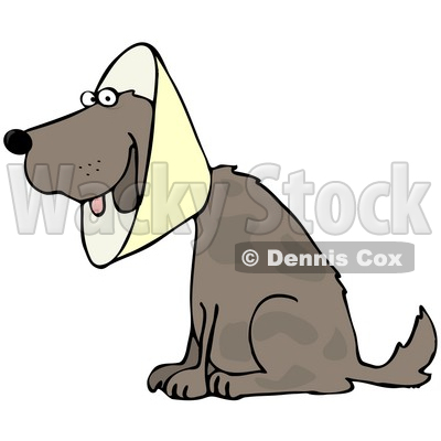 Clipart Illustration Of A Brown Dog Wearing An Elizabethan Collar