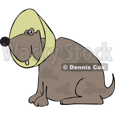 Dog Wearing An Elizabethan Colar Cone   Royalty Free Vector Clipart