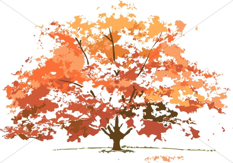 Fall Colors Maple Tree   Nature Clipart