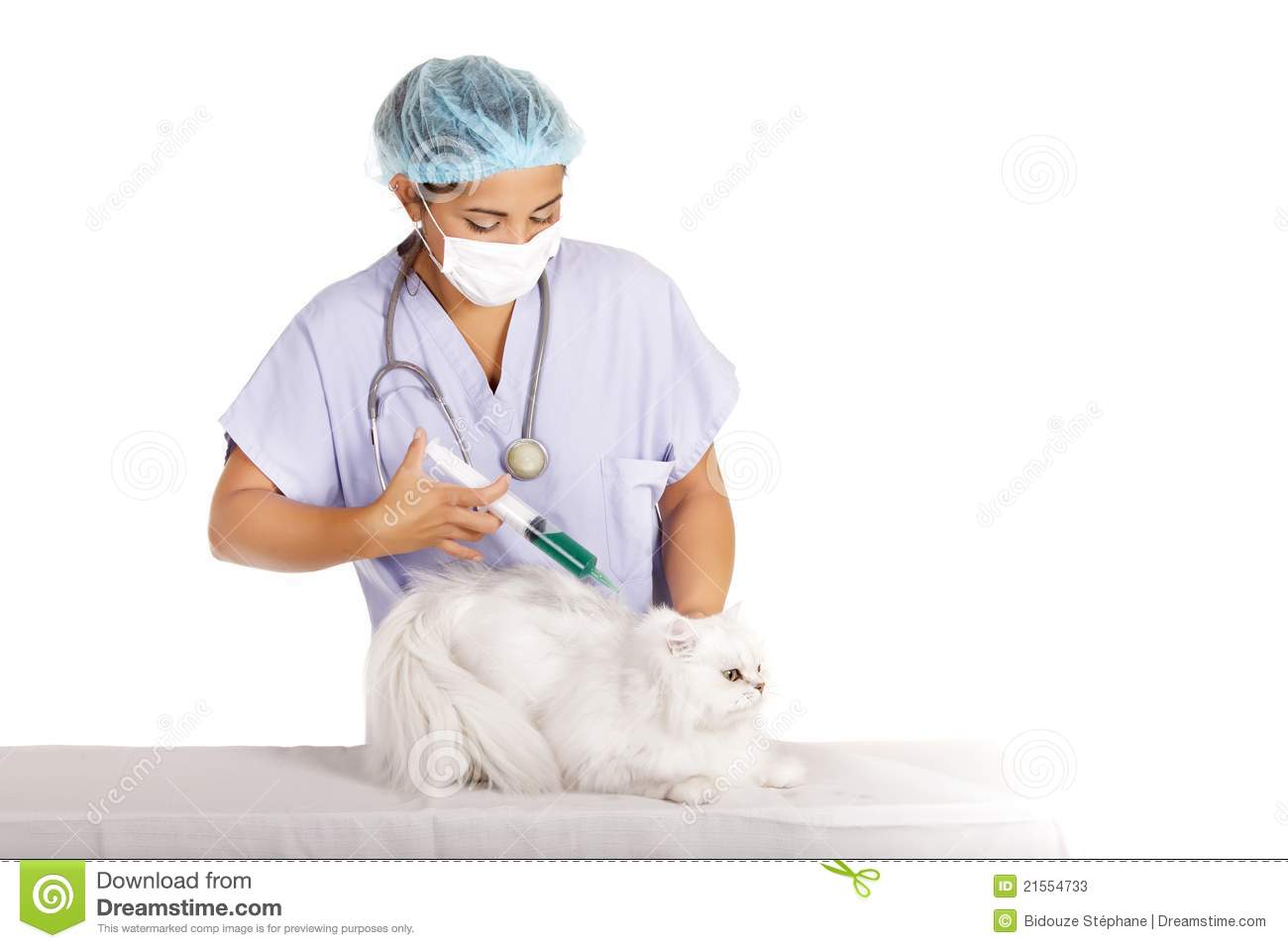 Female Veterinary Injecting Vaccine In White Angora Cat