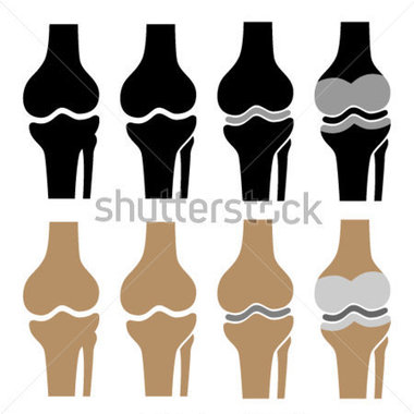 File Browse   Healthcare   Medical   Vector Human Knee Joint Symbols