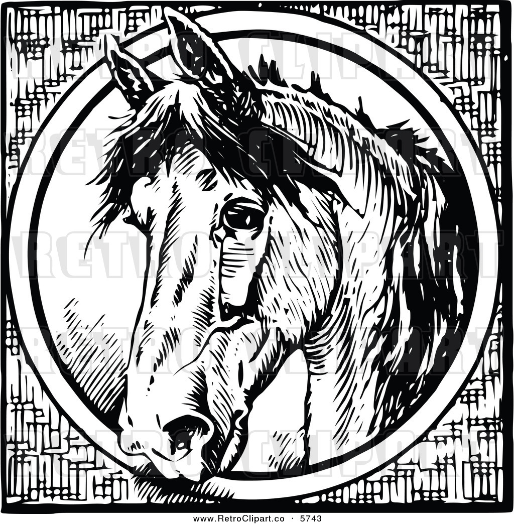 Larger Preview  Vector Clipart Of A Vintage Black And White Horse    