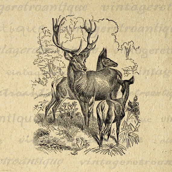 Printable Image Family Of Red Deer Download By Vintageretroantique