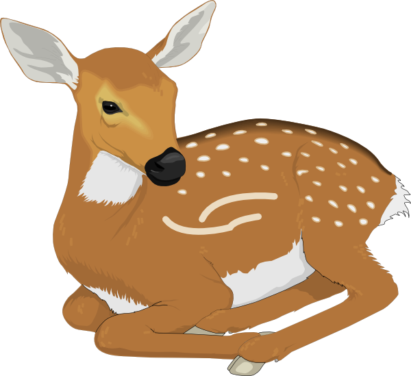 Resting Baby Deer Clip Art At Clker Com   Vector Clip Art Online    