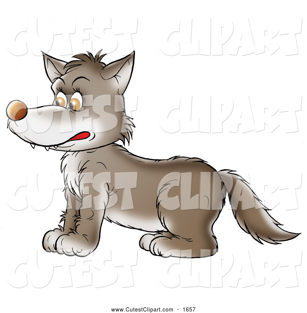 Royalty Free Timber Wolf Stock Cute Clipart Illustrations Pictures