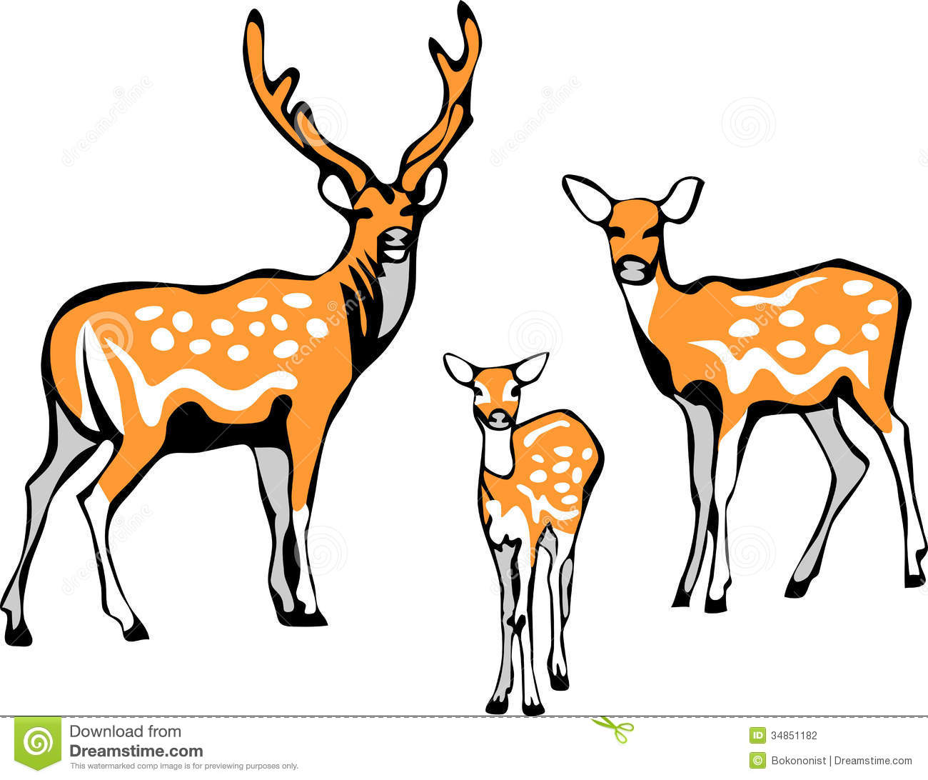 Sika Deer Family   Stylized Color Illustrations
