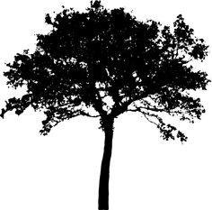 Tree Swing Clipart Silhouette Tree Maple