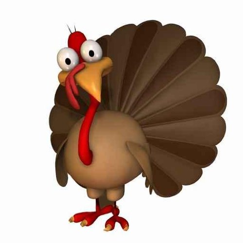 Animal Wall Decals Toon Thanksgiving Turkey   36 Inches X 36 Inches