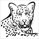 Eyes Jaguar Stock Illustrations Vectors   Clipart    73 Stock