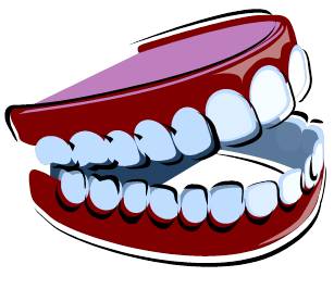 False Teeth Clipart Images   Pictures   Becuo