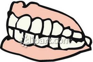False Teeth   Royalty Free Clipart Picture
