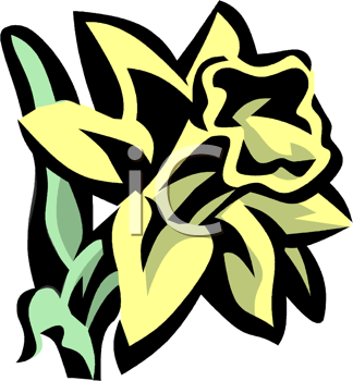 Royalty Free Daffodil Clipart