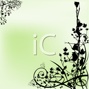 Royalty Free Ivy Clipart