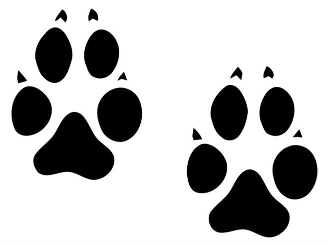 11 Pictures Of Wolf Paw Prints Free Cliparts That You Can Download To