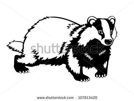 European Badger Black And White Vector Image Side View Picture