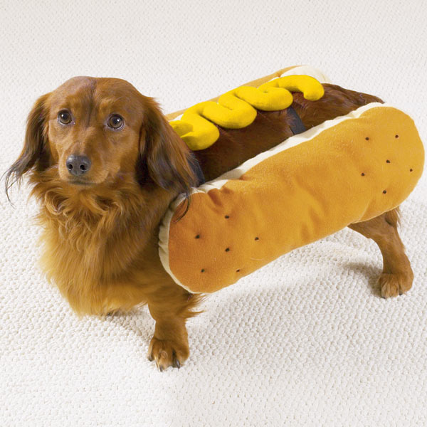 Hot Dog With Mustard Dog Halloween Costumes