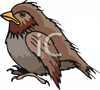 Little Brown Wren Bird   Royalty Free Clip Art Image