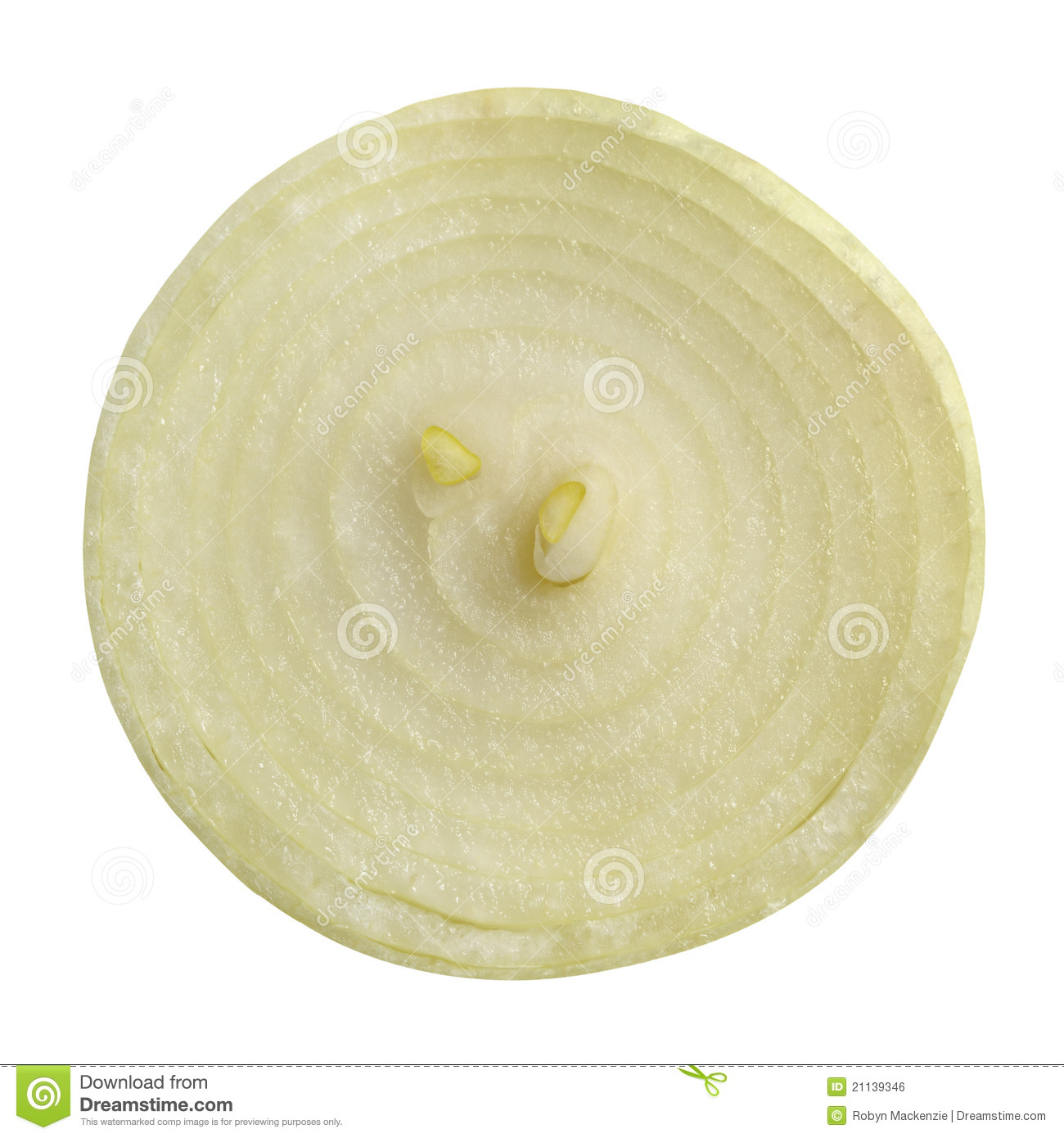 Onion Slice Royalty Free Stock Image   Image  21139346