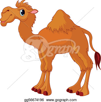     Pictures Com Camel Caravan Arab Wedding Dromedary Camel Funny Camels