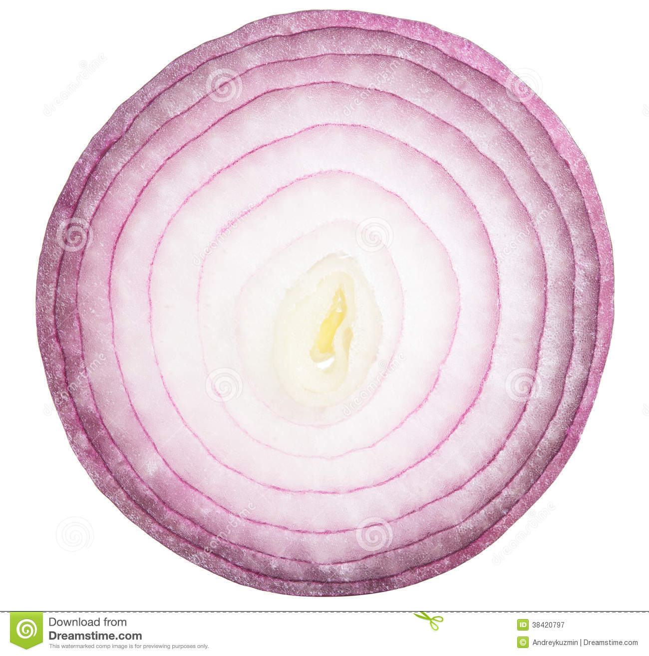 Red Or Purple Onion Slice Isolated Royalty Free Stock Photography