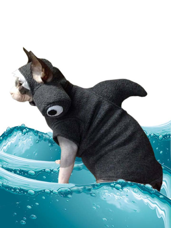 Shark Pet Costume Cat Hat Sphynx Cat Clothes Hammerhead Hat In Fleece