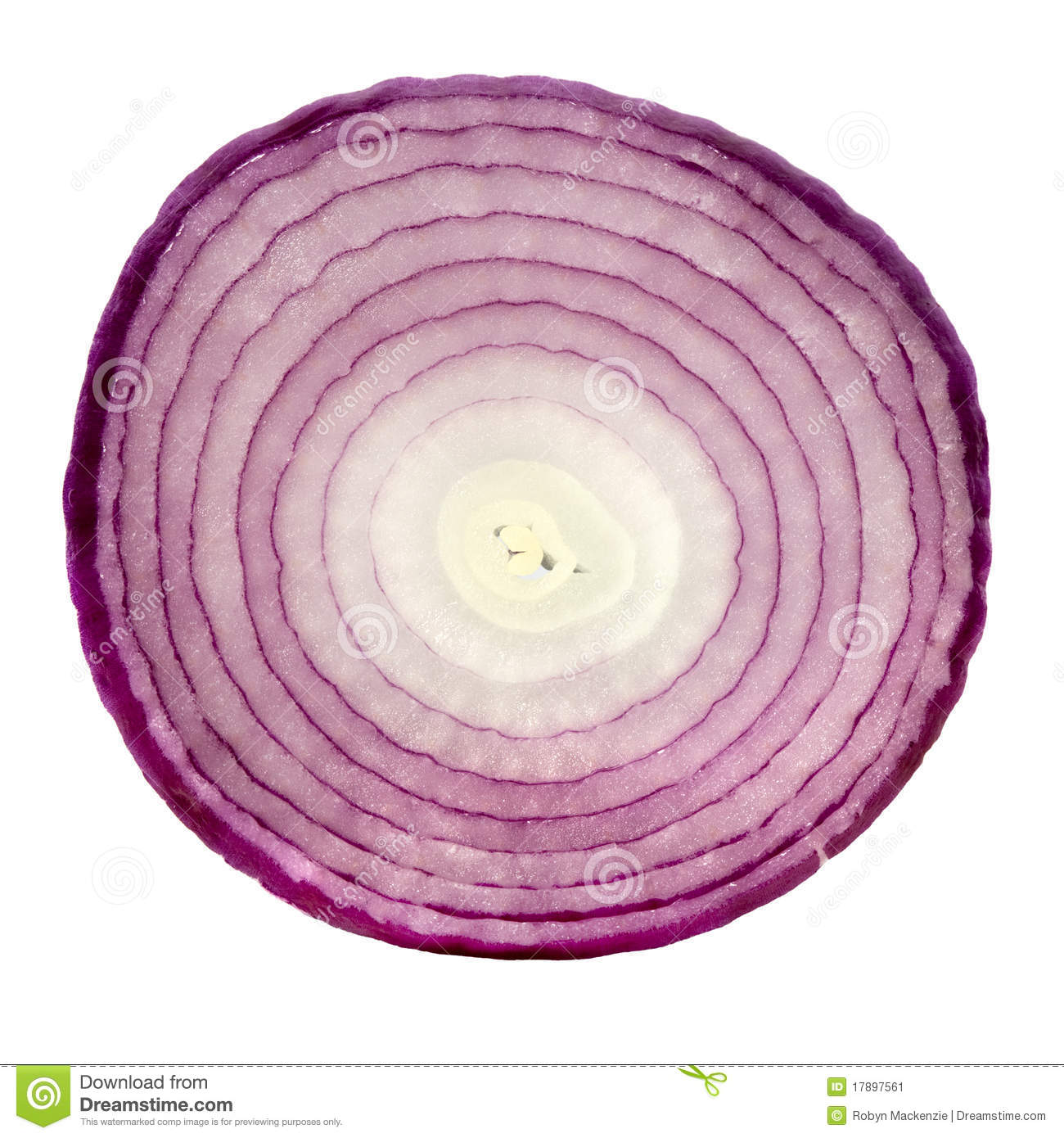 Slice Of Red Onion Isolated On White Background