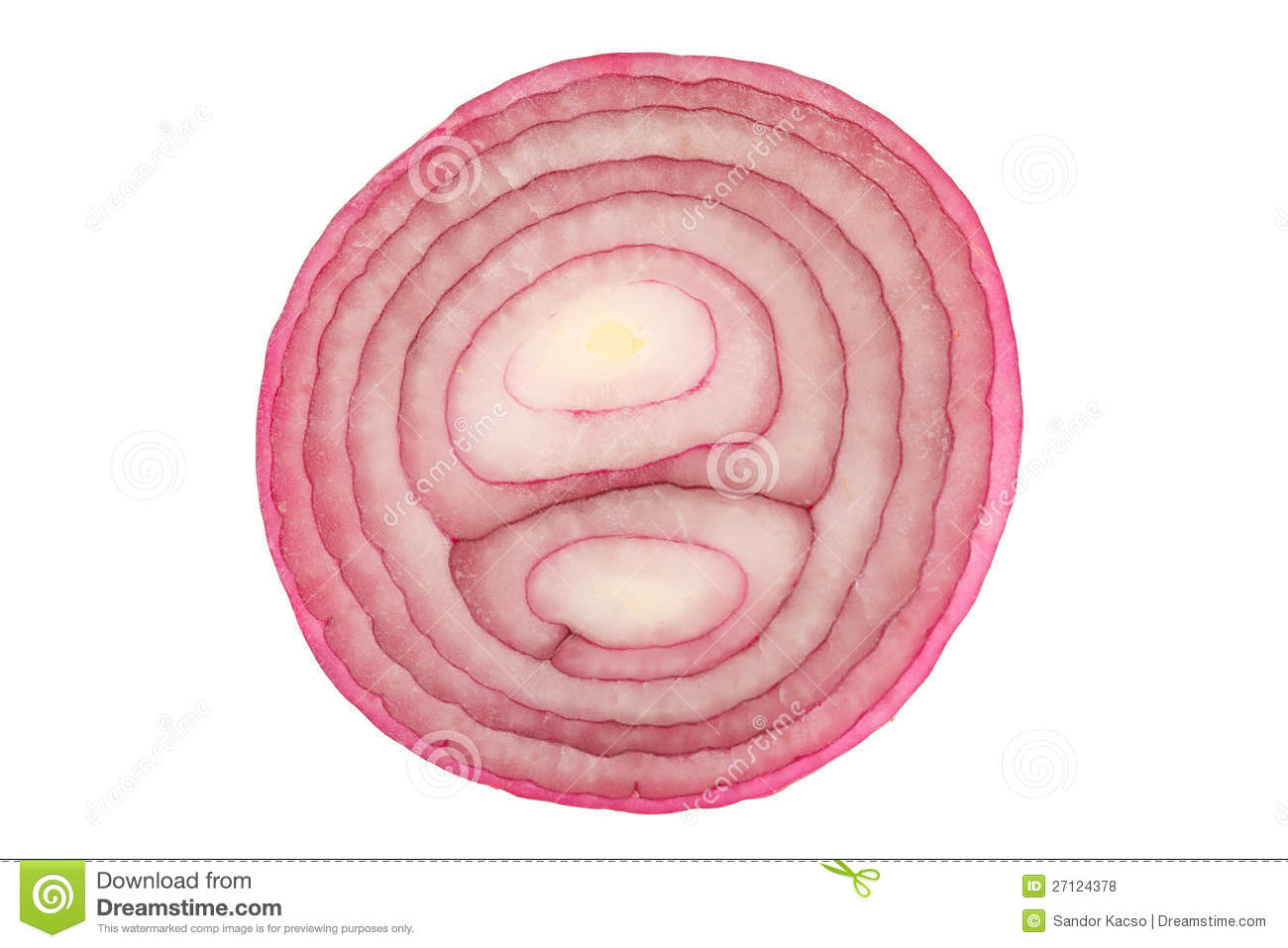Slice Of Red Onion Royalty Free Stock Photos   Image  27124378