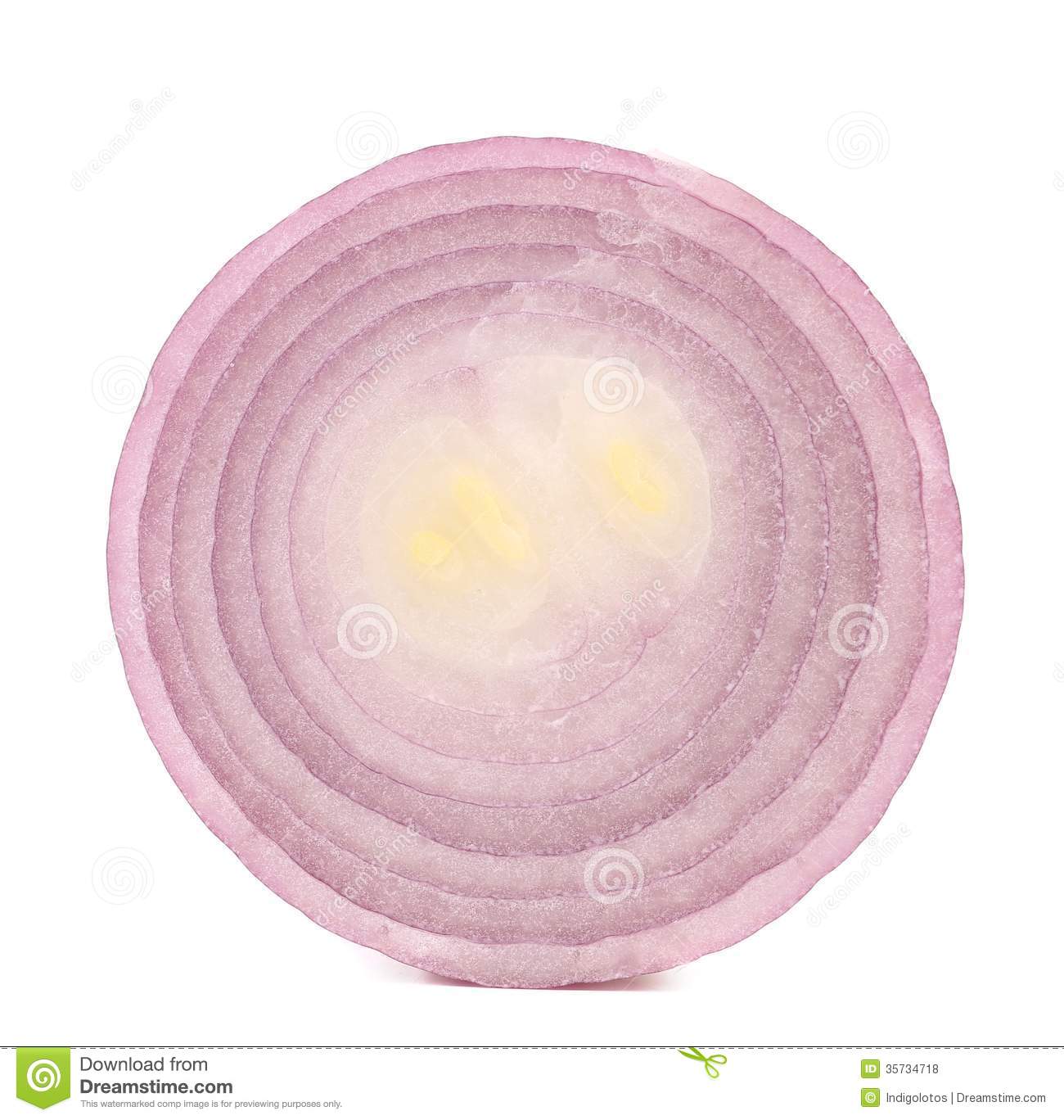 Slice Of Red Onion  Royalty Free Stock Photos   Image  35734718