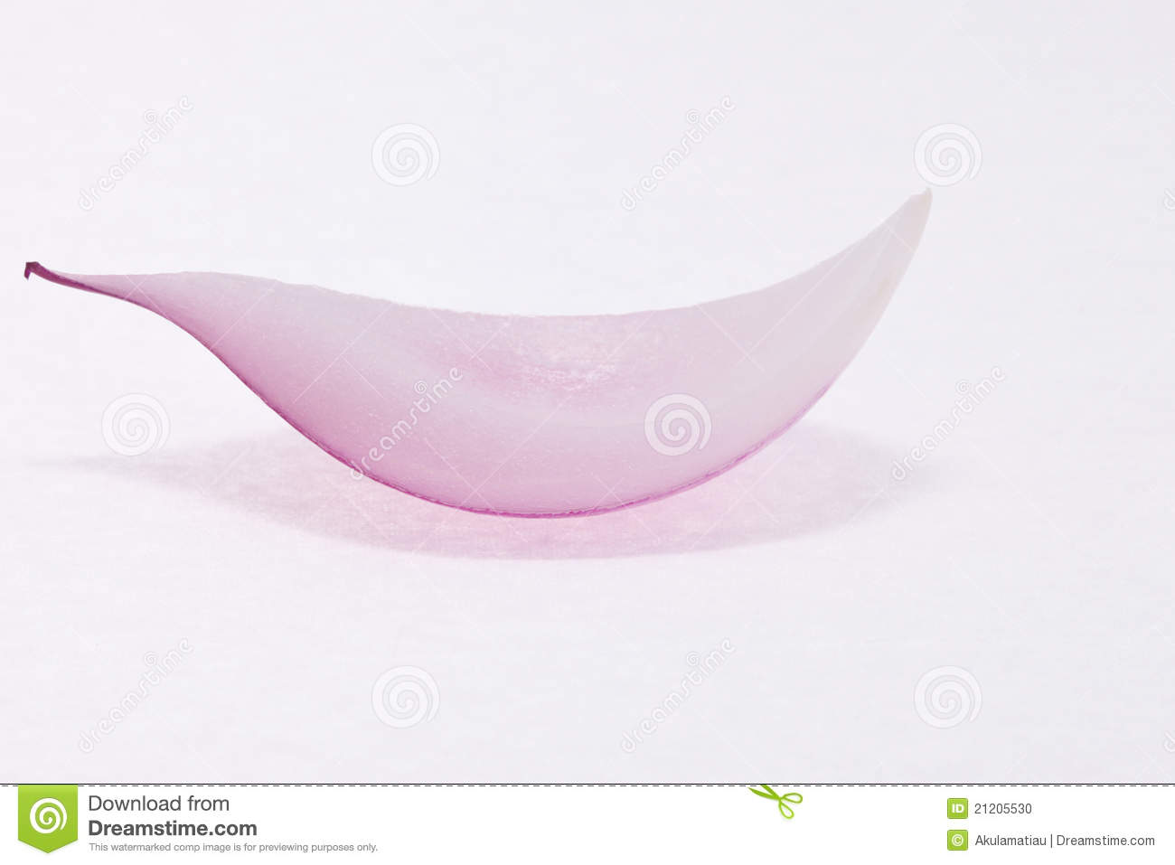 Sliced Of Red Onion Layer