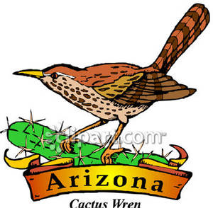     The Cactus Wren With Gold Arizona Banner Royalty Free Clipart Picture