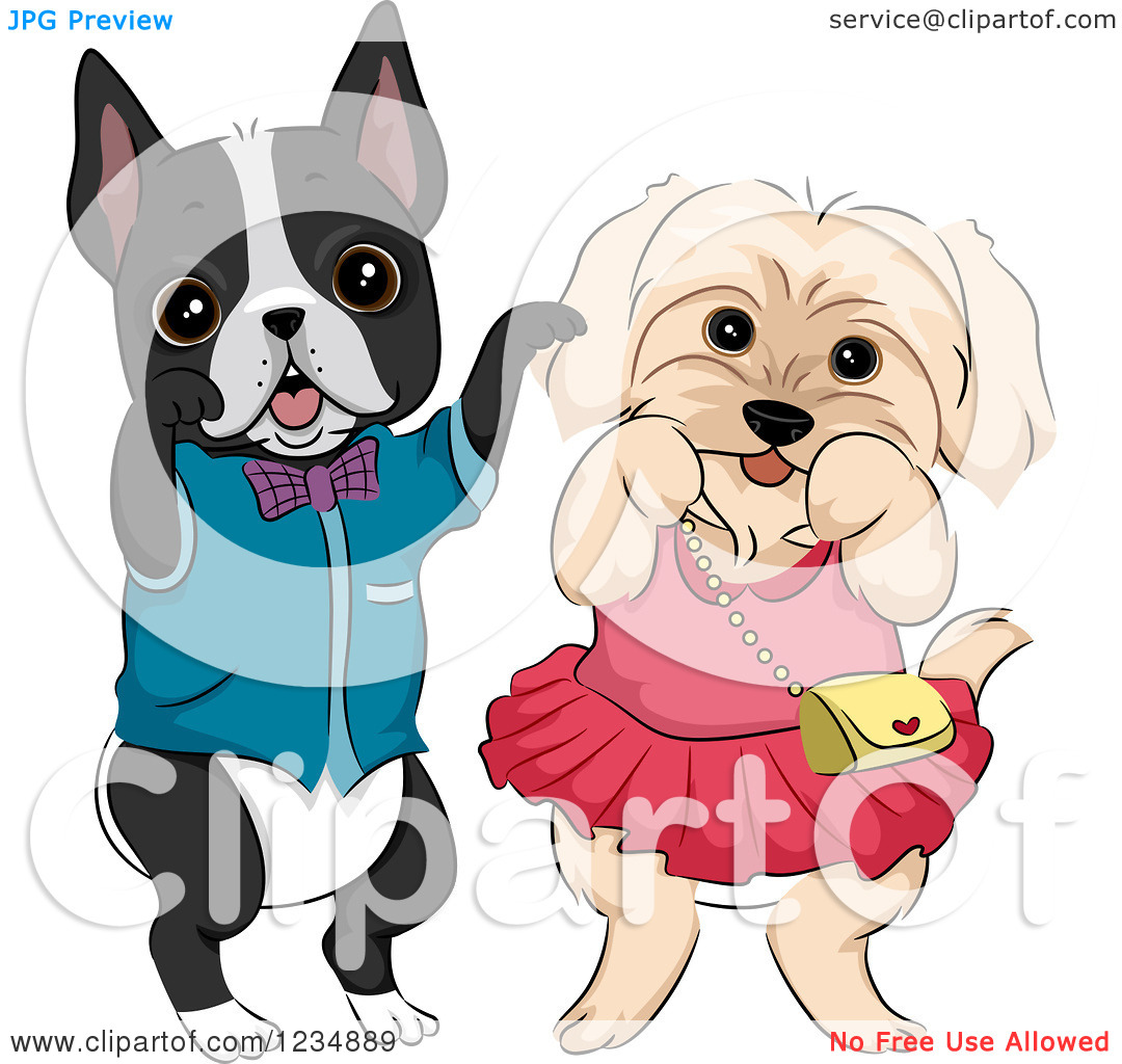 Clipart Of A Boston Terrier And Dog Dessed In Clothes   Royalty Free    