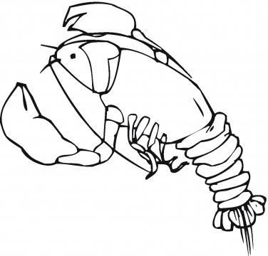       Crawfish Coloring Page Louisiana Coloring Page Clipart Bestcolor