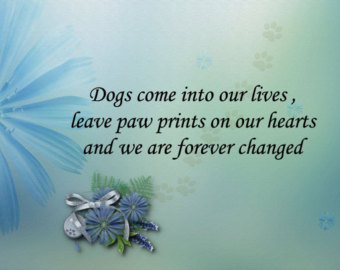 Pet Loss Sympathy Card Dogs Leave Paw Prints On Heart Memorial Picture