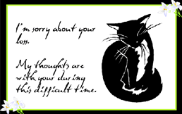 Sorry About Your Loss Pet Cat Sympathy Pet Loss Greeting Card