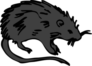 Black Rat Clip Art At Clker Com   Vector Clip Art Online Royalty Free