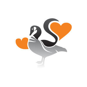     Design Of Heart Clipart   Orange Hearts And Duck With White Background
