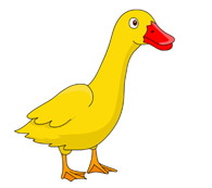 Duck Clipart And Graphics
