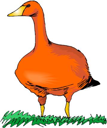 Orange Duck Clipart Ducks Clip Art