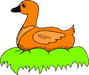 Orange Duck In Nest Clip Art At Clker Com   Vector Clip Art Online