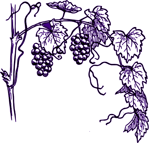 Purple Grape Vine Clip Art At Clker Com   Vector Clip Art Online