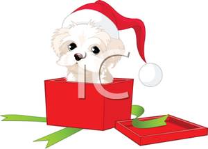 Dog In A Christmas Present Box Clip Art Image 