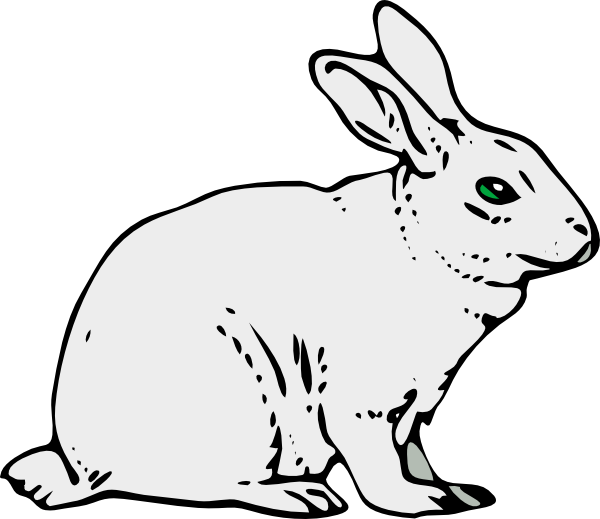 Gray Rabbit Clip Art At Clker Com   Vector Clip Art Online Royalty