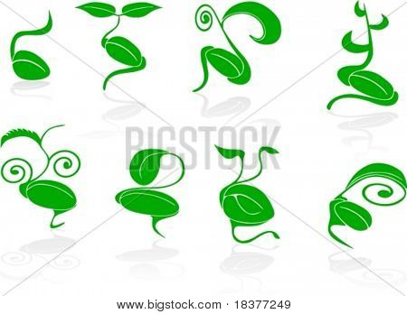 Seed Germination Clipart Seed With Germination