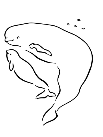 Baby Beluga With Mother Coloring Page   Supercoloring Com