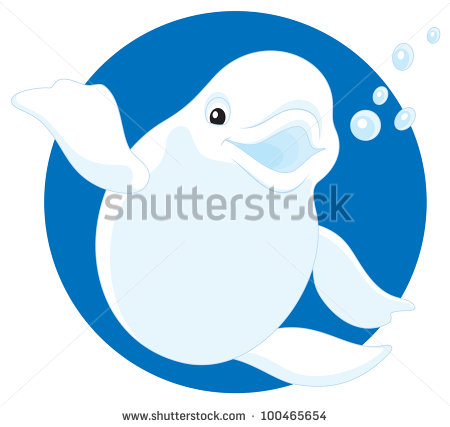 Beluga Whale Cartoon Beluga Friendly Smiling Polar