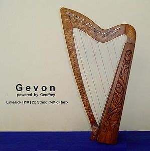 Celtic Stringed Harp Or Irish Flute For Your Favorite Irish Musical    