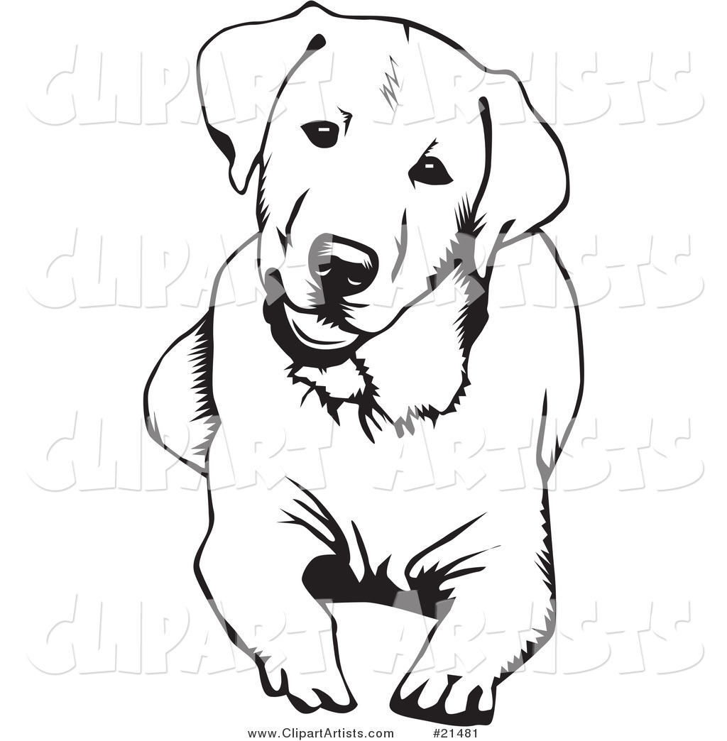 Larger Preview  Vector Dogs Clipart By David Rey