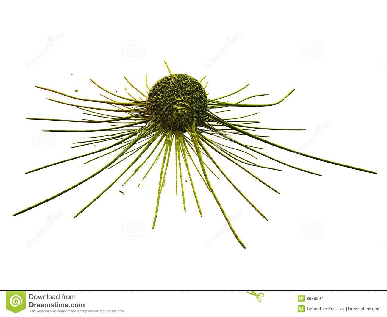 Cancer Cell Royalty Free Stock Photography   Image  8689307